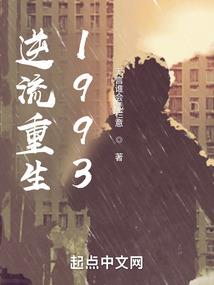 品茗 标书制作破解版