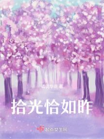 PicTool破解版