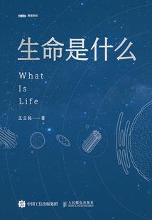 游戏运势
