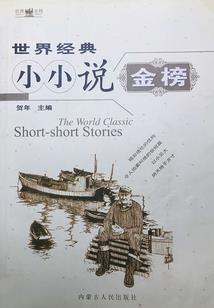 虚伪的假面 攻略