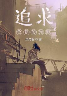职业分辨率