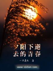 荒野之息沙漠清凉