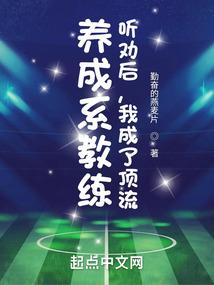 巫师3黑狼套mod