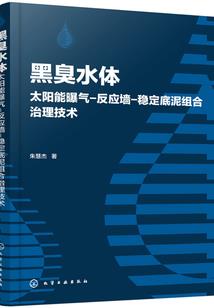 我的世界巫师救南瓜