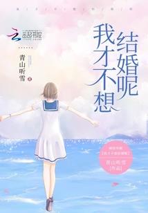 荒野之息盾反火球