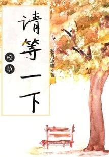 梦幻西游优化