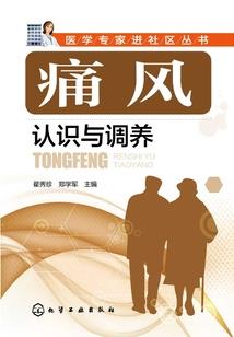 我的世界玩家平凡之路