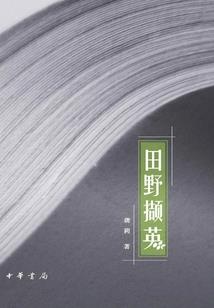铁盒荒野红茶