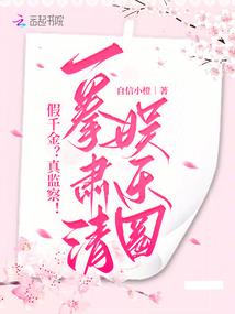 petdesigner破解版