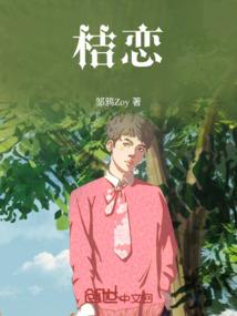 电男的mod
