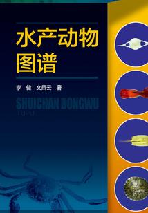 p9玩王者荣耀断触