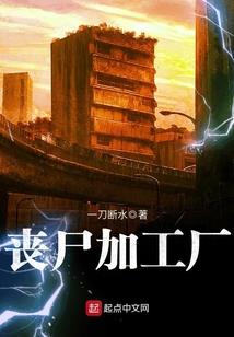 永恒之塔百夫长套装属性