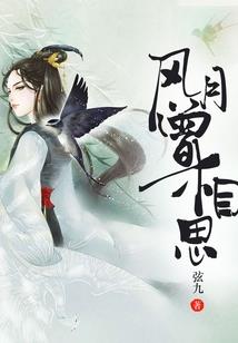 阴阳师聊天后面的牌