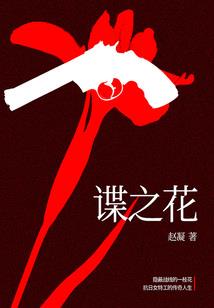 阳江闸坡攻略