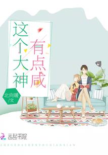 冰墩墩v2.2破解版