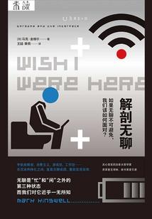 我的世界街头画家视频