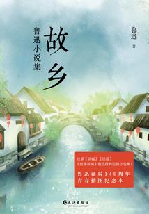 卖特斯拉皮肤
