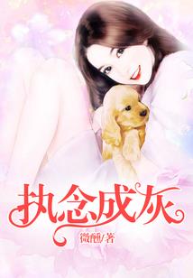 火焰之纹章光与影职业
