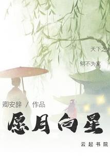 寂静岭5归乡攻略