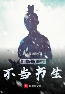 辐射重生mod介绍