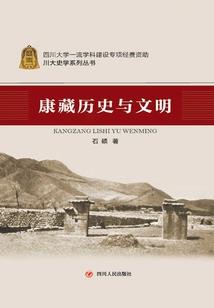 鬼泣皮肤属