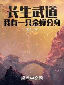 美女市长攻略第11部分