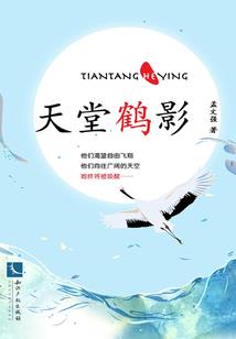 小卡背面无属性素材