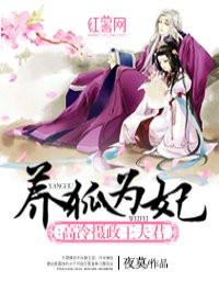 我的世界魔法阵容装备