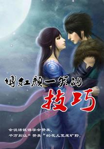 7星训练师装备一览表