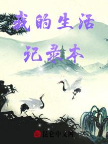 沱江大桥皮肤
