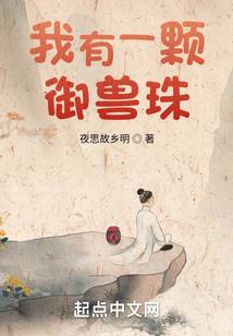 粽子属性