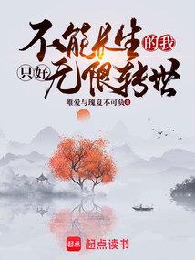 我的世界红石布置